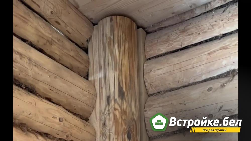 frame_600.jpg?lang=ru